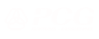PCG Auditores Consultores